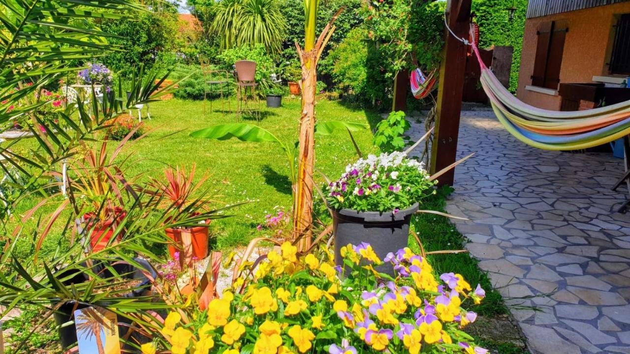 Chambres Du Petit Bonheur Biscarrosse Zewnętrze zdjęcie